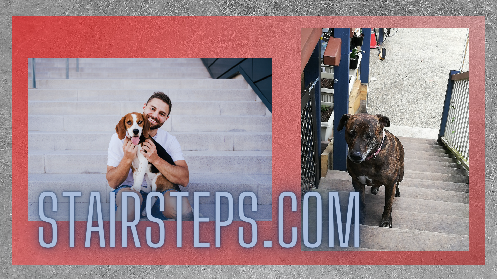 stairsteps.com graphic